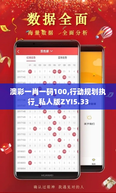 澳彩一肖一码100,行动规划执行_私人版ZYI5.33