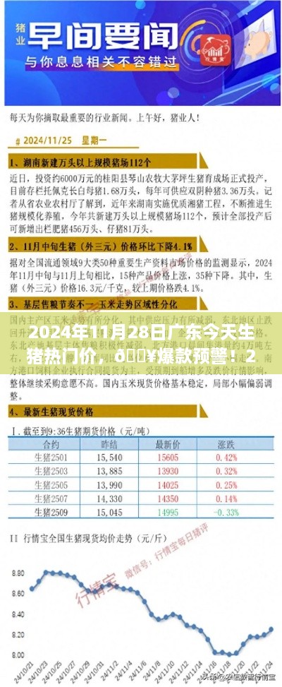 2024年11月28日广东生猪市场热门价格解析与爆款预警