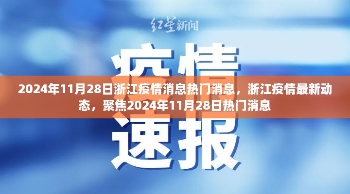 浙江疫情最新动态，聚焦热门消息与最新动态（2024年11月28日）