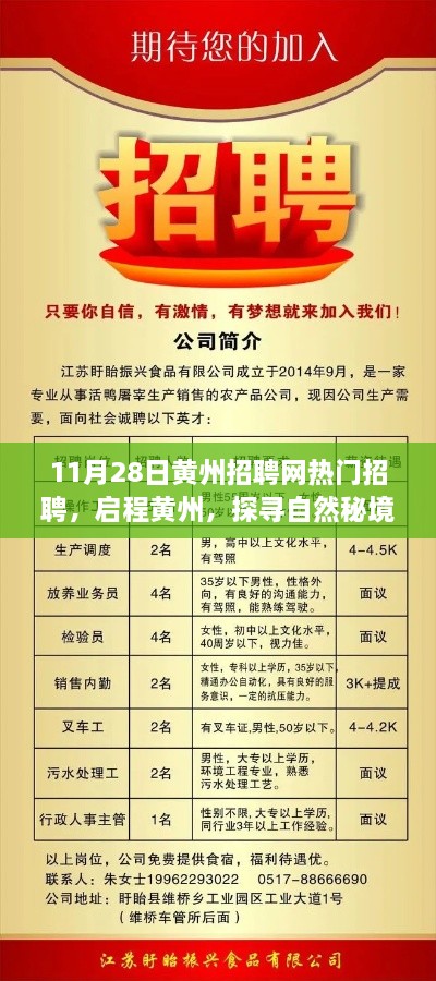 11月28日黄州招聘网热门招聘及职位探索，启程黄州，探寻自然秘境之旅