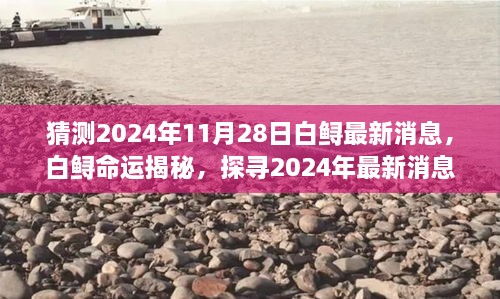 探寻白鲟命运，揭秘生态时代最新消息与未来预测（2024年最新）