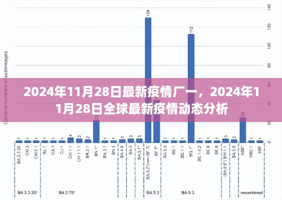 全球最新疫情动态分析报告，2024年11月28日最新疫情概况分析