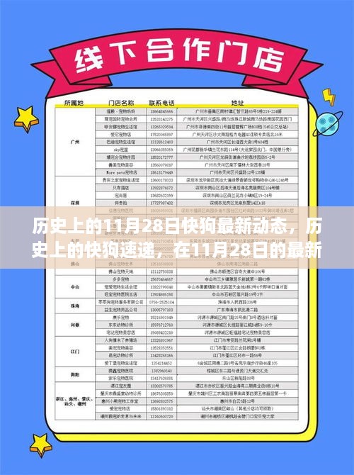 历史上的快狗速递在11月28日的最新动态回顾与深度分析，影响与展望