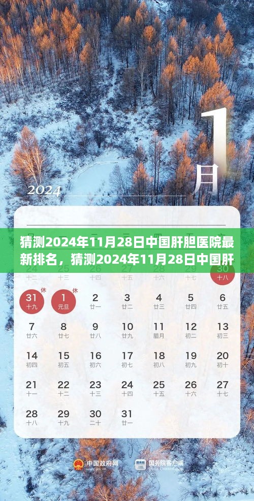 独家预测，2024年11月28日中国肝胆医院最新排名及医疗前沿趋势洞察