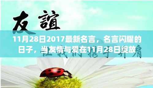 友情与爱在11月28日绽放，最新名言闪耀的日子