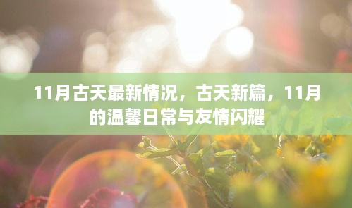 11月古天最新动态，新篇章的温馨日常与友情的闪耀