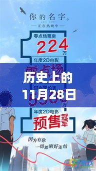 历史上的11月28日，香港疫情深度探究与最新发展