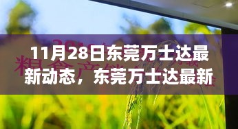 东莞万士达最新动态深度评测与介绍，11月28日最新更新