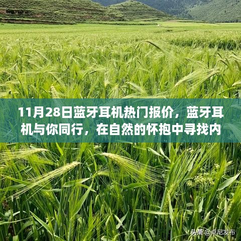 11月28日蓝牙耳机热门报价，自然中的和谐伴侣，寻找内心的宁静之旅