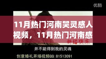 探寻河南感人视频背后的情感与灵感之源，十一月热门视频解析