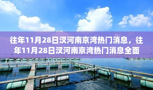 往年11月28日汊河南京湾热门消息深度解析与评测报告