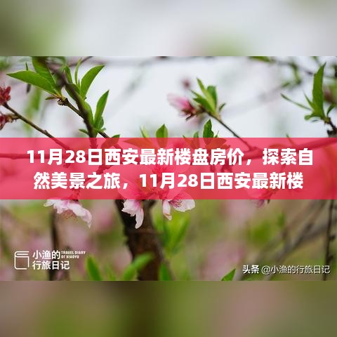 揭秘西安最新楼盘房价背后的宁静力量，自然美景之旅