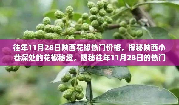 陕西花椒秘境揭秘，探寻往年1�月28日热门价格传奇之旅！