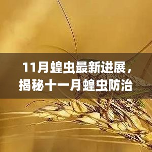 揭秘十一月蝗虫防治新利器，科技前沿应对系统引领生活变革