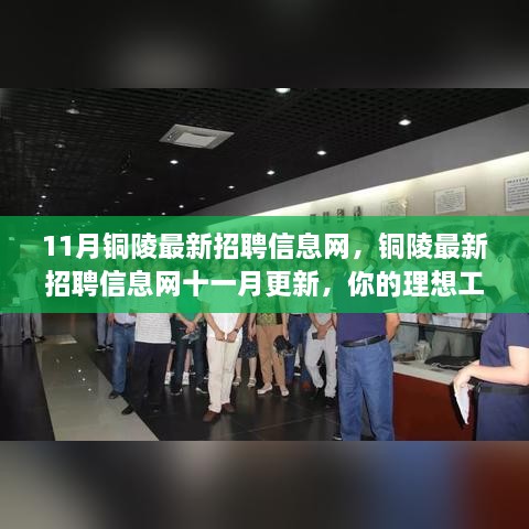 11月铜陵最新招聘信息网更新，理想工作等你来挑！