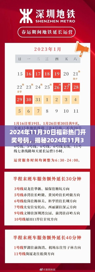 揭秘福彩开奖热门号码，预测分析与实战案例（针对2024年11月30日福彩开奖）