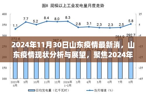 山东疫情最新消息，聚焦现状分析与未来展望（2024年11月30日）