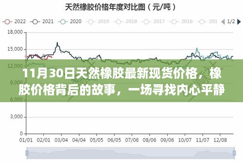 探寻橡胶市场脉络，价格背后的故事与橡胶丛林之旅的最新现货价格（11月30日）