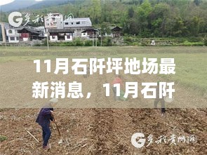 11月石阡坪地场最新动态与消息概览