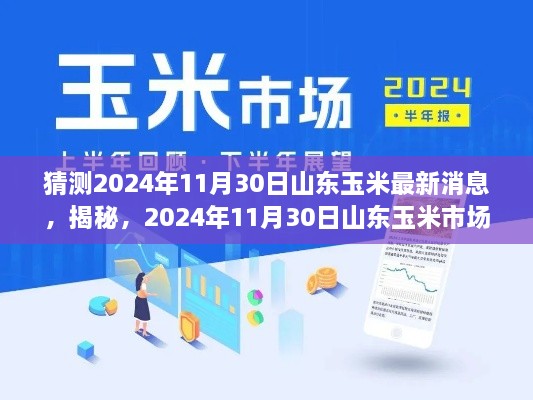 猜测2024年11月30日山东玉米最新消息，揭秘，2024年11月30日山东玉米市场最新动态与趋势预测