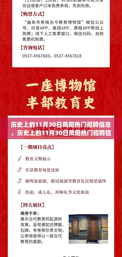 历史上的11月30日凤阳热门招聘信息及其深度解析