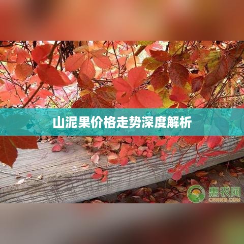 山泥果价格走势深度解析