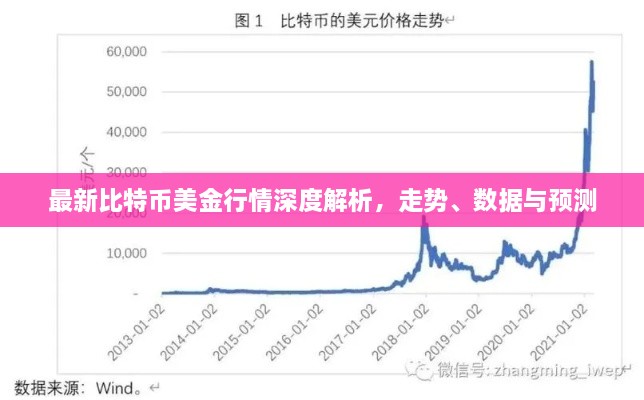 最新比特币美金行情深度解析，走势、数据与预测