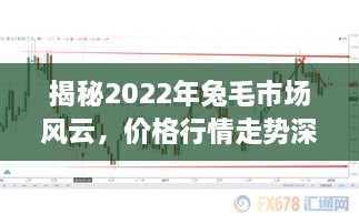 揭秘2022年兔毛市场风云，价格行情走势深度解析