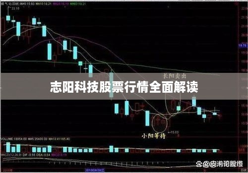 志阳科技股票行情全面解读