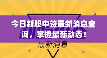 今日新股中签最新消息查询，掌握最新动态！