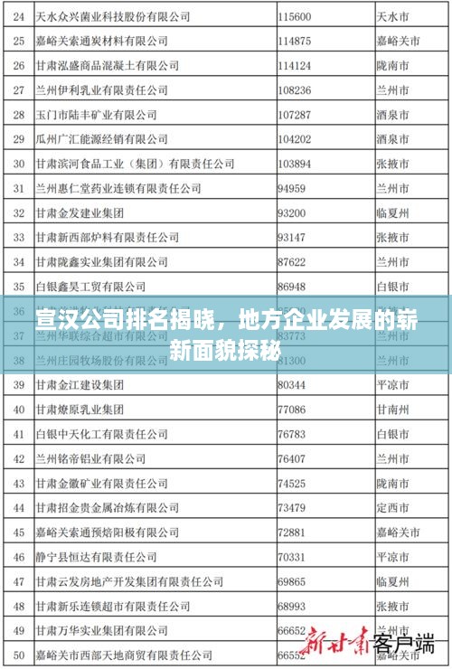 宣汉公司排名揭晓，地方企业发展的崭新面貌探秘