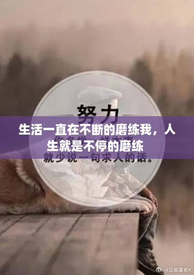 生活一直在不断的磨练我，人生就是不停的磨练 