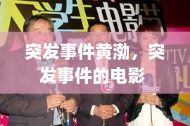 突发事件黄渤，突发事件的电影 