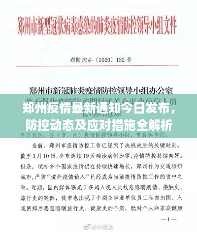 郑州疫情最新通知今日发布，防控动态及应对措施全解析