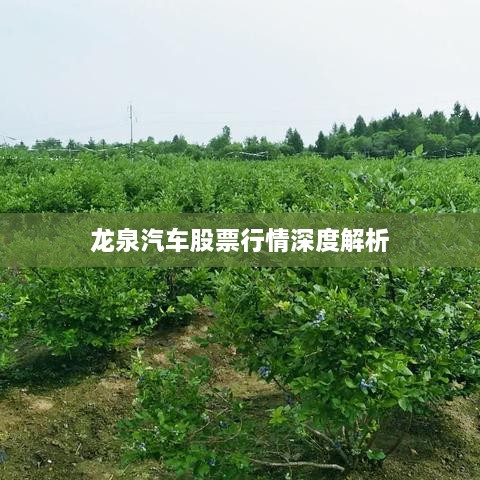 龙泉汽车股票行情深度解析