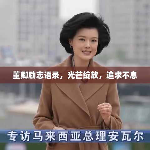 董卿励志语录，光芒绽放，追求不息