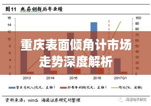 重庆表面倾角计市场走势深度解析