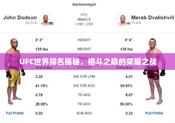 UFC世界排名揭秘，格斗之巅的荣耀之战