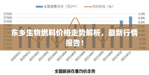 东乡生物燃料价格走势解析，最新行情报告！