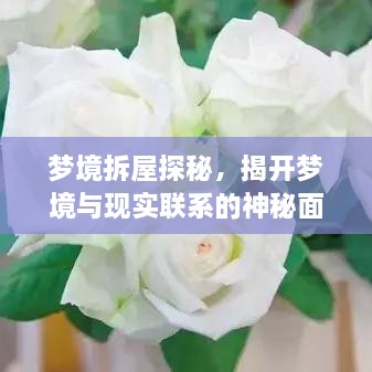 梦境拆屋探秘，揭开梦境与现实联系的神秘面纱