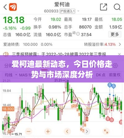 爱柯迪最新动态，今日价格走势与市场深度分析