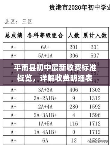 平南县初中最新收费标准概览，详解收费明细表