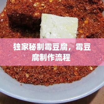 独家秘制霉豆腐，霉豆腐制作流程 