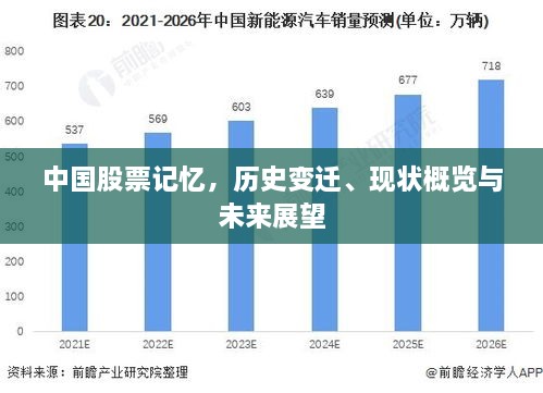 中国股票记忆，历史变迁、现状概览与未来展望