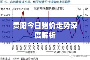 贵阳今日猪价走势深度解析