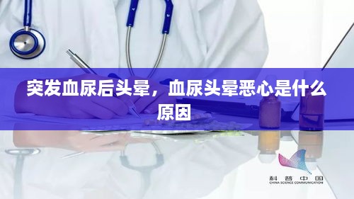 突发血尿后头晕，血尿头晕恶心是什么原因 