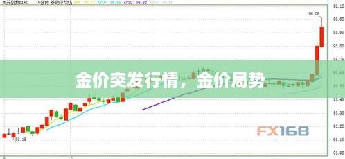 金价突发行情，金价局势 