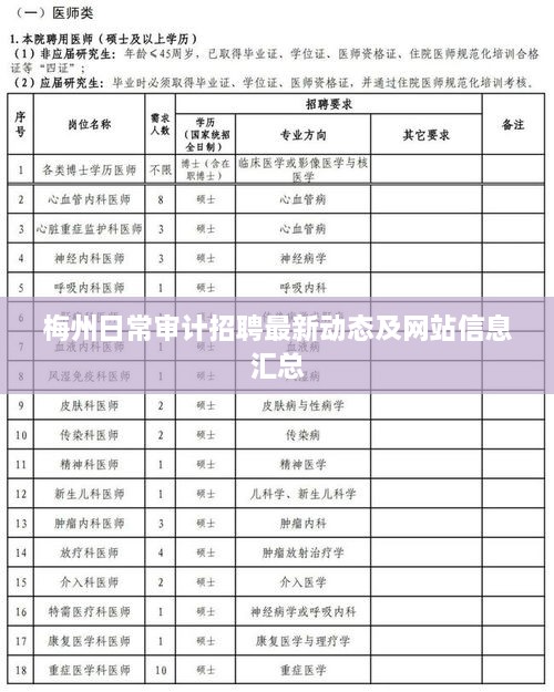 梅州日常审计招聘最新动态及网站信息汇总