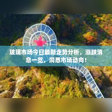 玻璃市场今日最新走势分析，涨跌消息一览，洞悉市场动向！