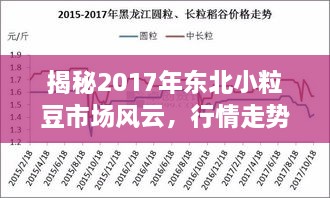 揭秘2017年东北小粒豆市场风云，行情走势深度解析